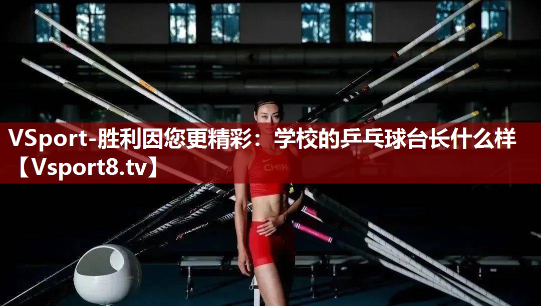 VSport-胜利因您更精彩：学校的乒乓球台长什么样