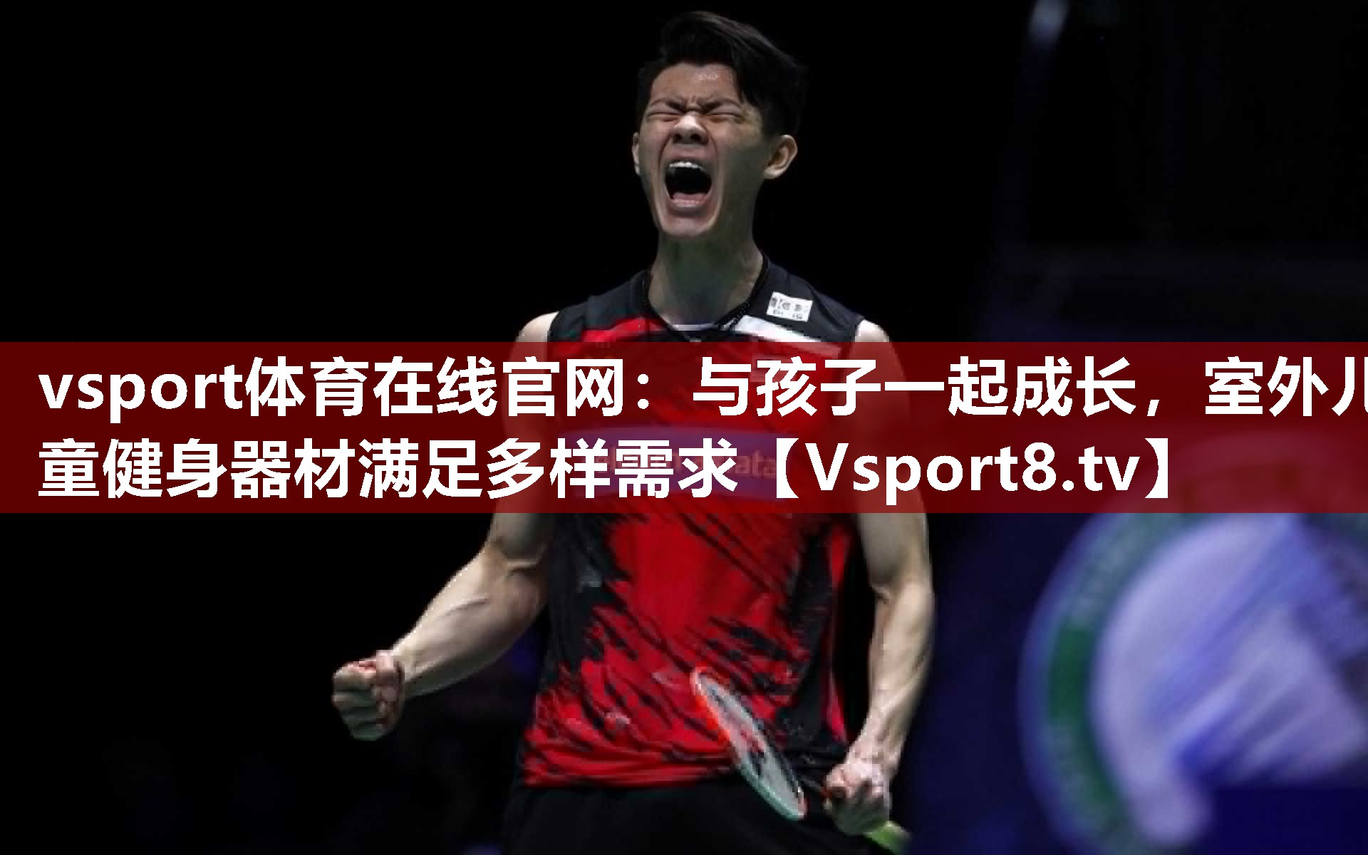 vsport体育在线官网：与孩子一起成长，室外儿童健身器材满足多样需求