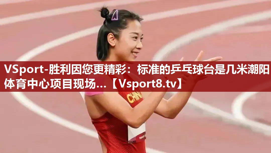 VSport-胜利因您更精彩：标准的乒乓球台是几米潮阳体育中心项目现场…