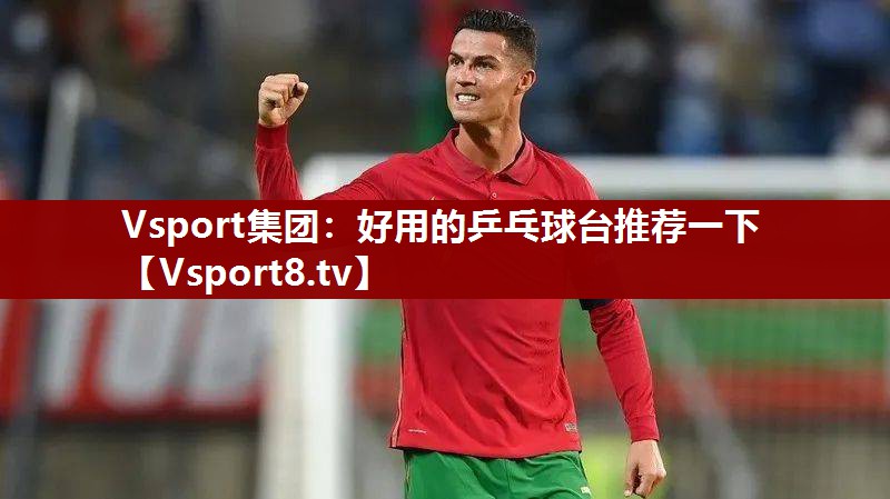 Vsport集团：好用的乒乓球台推荐一下