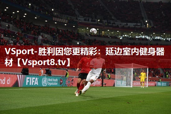 VSport-胜利因您更精彩：延边室内健身器材