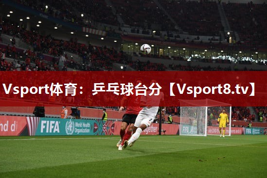 Vsport体育：乒乓球台分