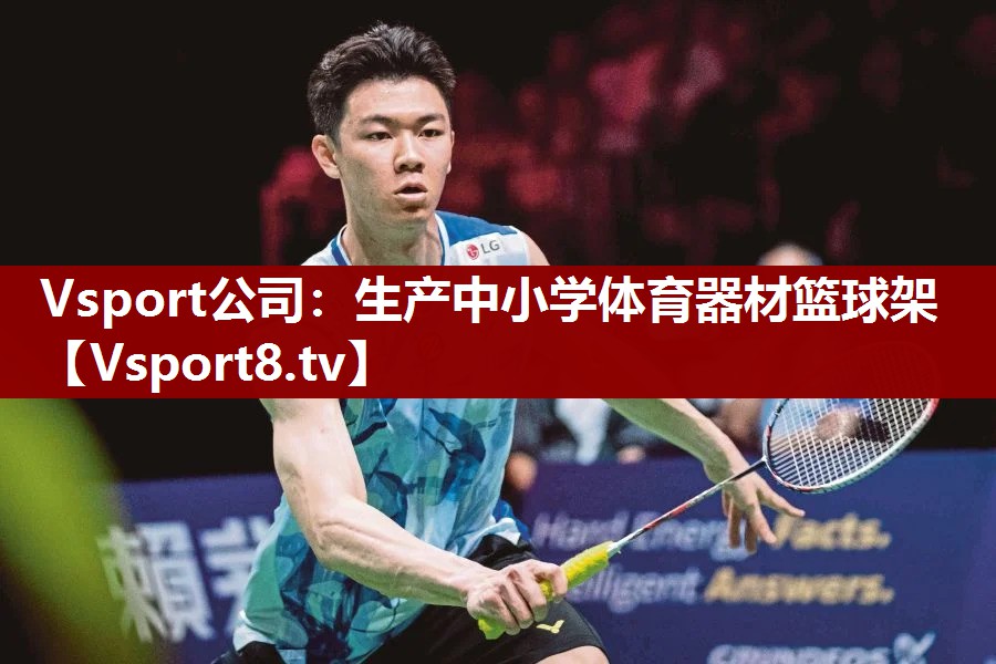 Vsport公司：生产中小学体育器材篮球架