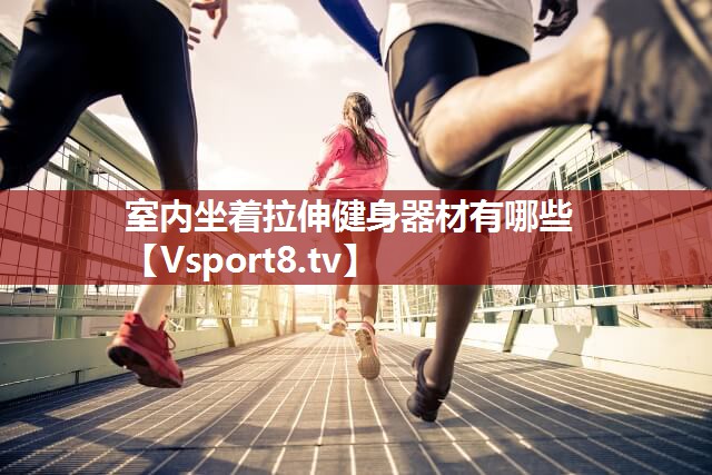 室内坐着拉伸健身器材有哪些
