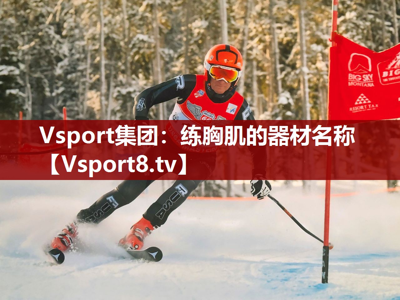 Vsport集团：练胸肌的器材名称