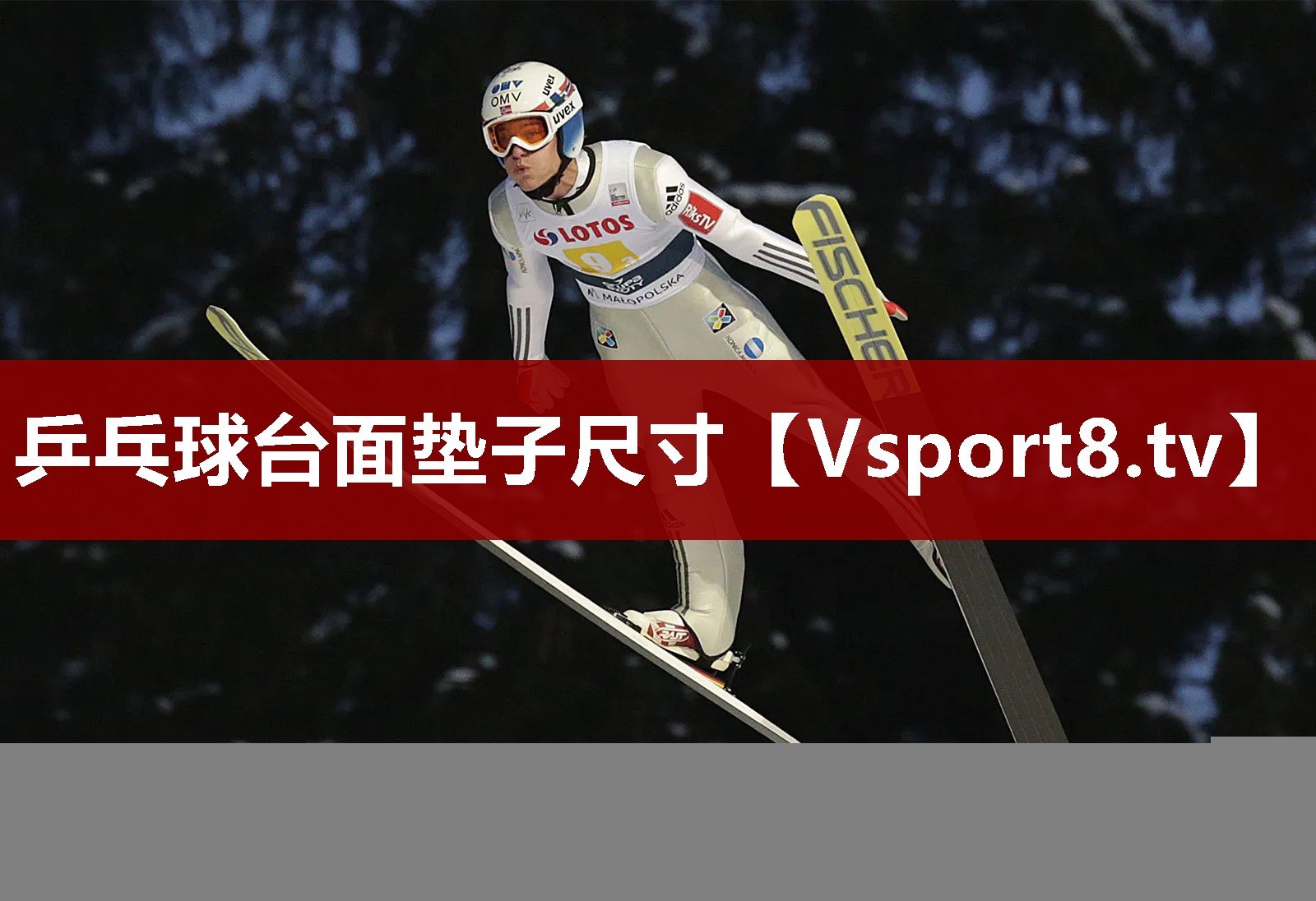 乒乓球台面垫子尺寸