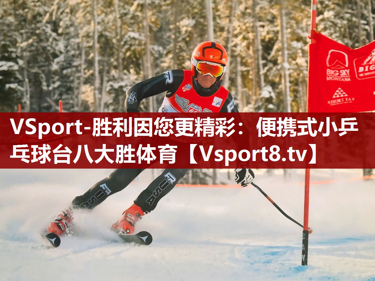 VSport-胜利因您更精彩：便携式小乒乓球台八大胜体育