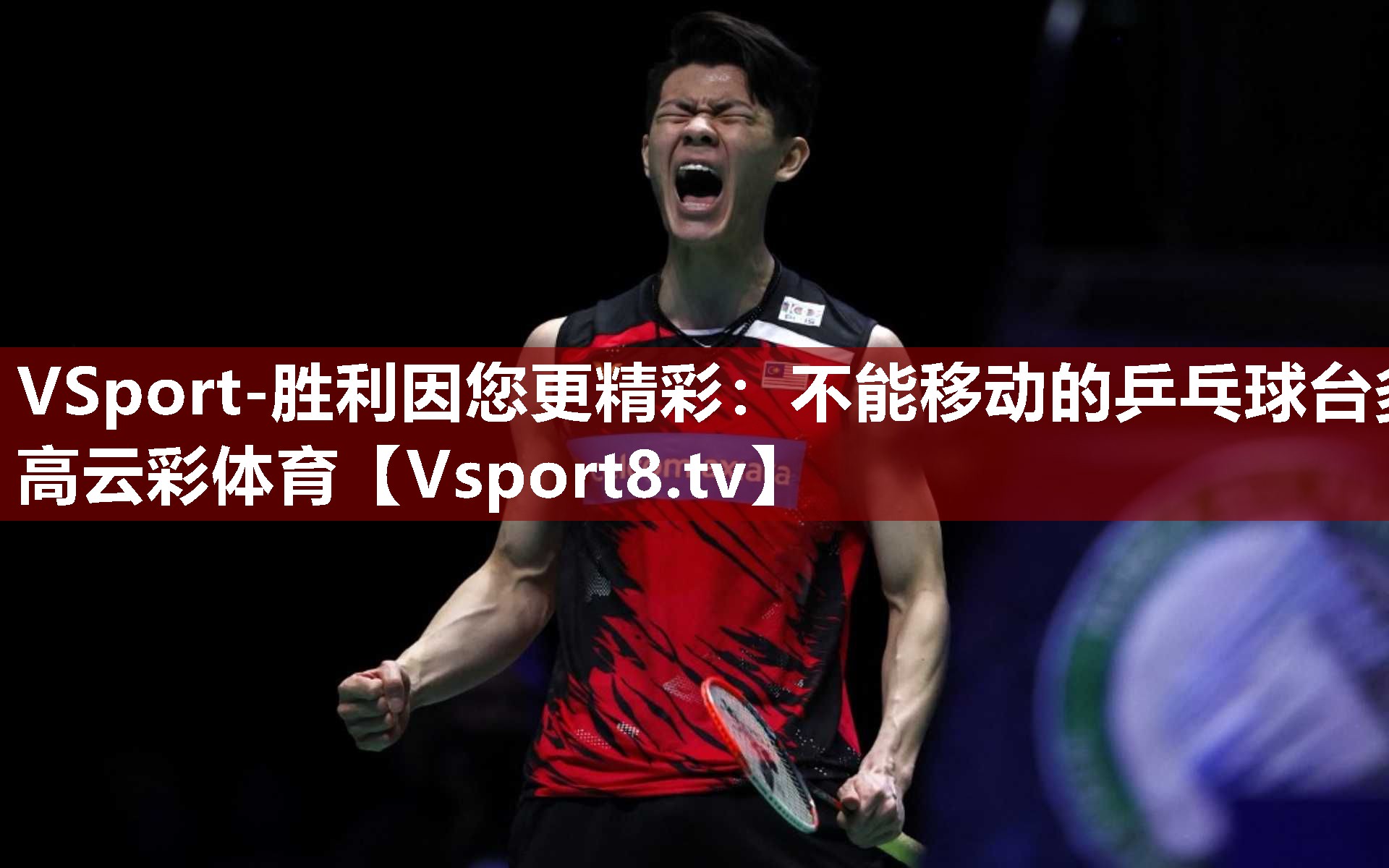 VSport-胜利因您更精彩：不能移动的乒乓球台多高云彩体育