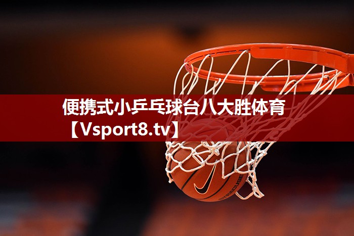便携式小乒乓球台八大胜体育
