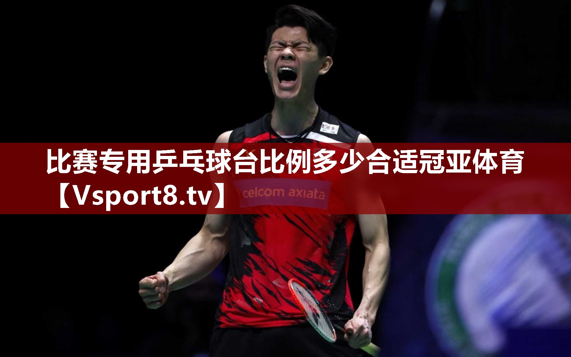 比赛专用乒乓球台比例多少合适冠亚体育
