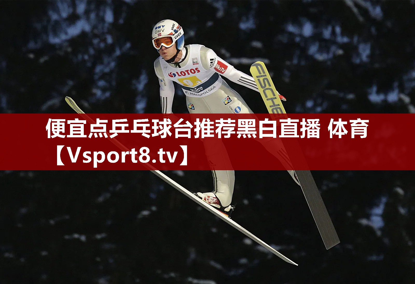 便宜点乒乓球台推荐黑白直播 体育