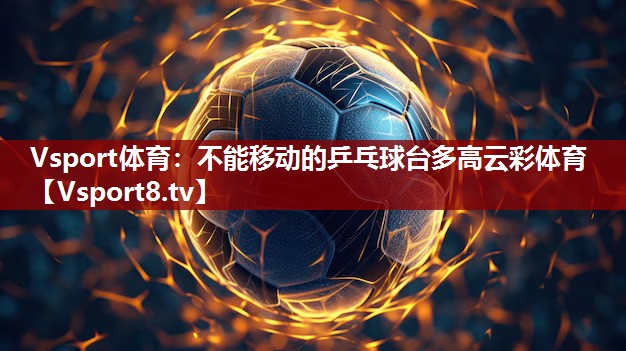 Vsport体育：不能移动的乒乓球台多高云彩体育