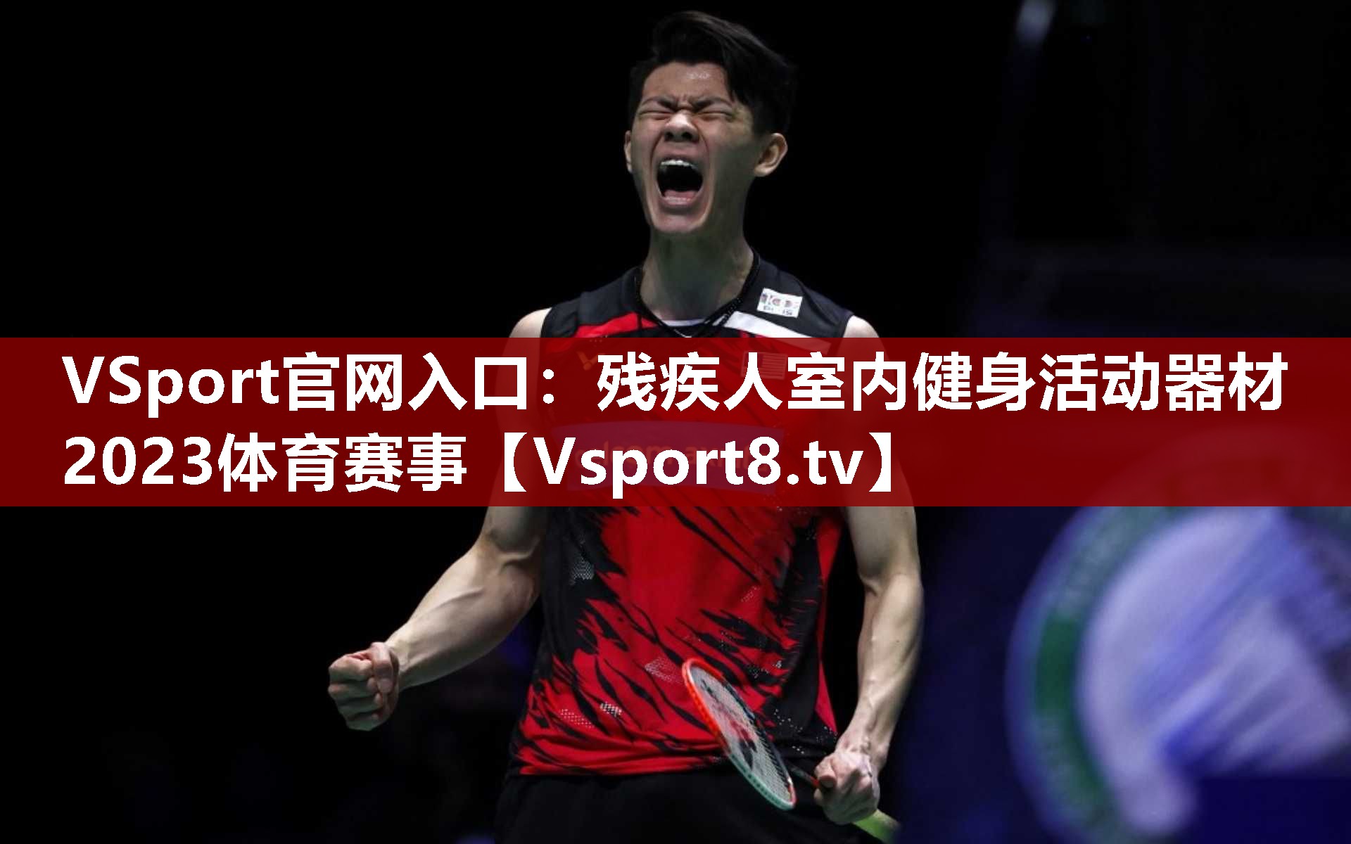 VSport官网入口：残疾人室内健身活动器材2023体育赛事