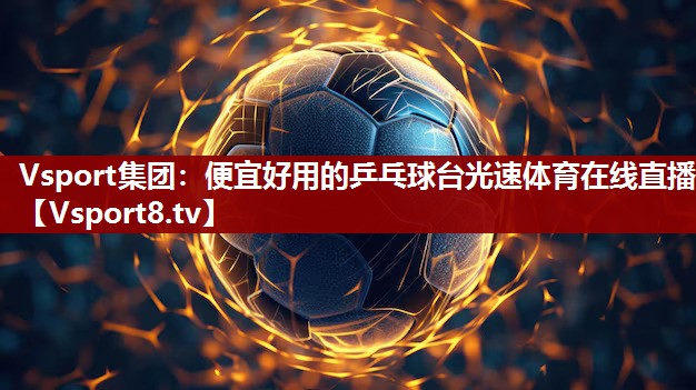 Vsport集团：便宜好用的乒乓球台光速体育在线直播
