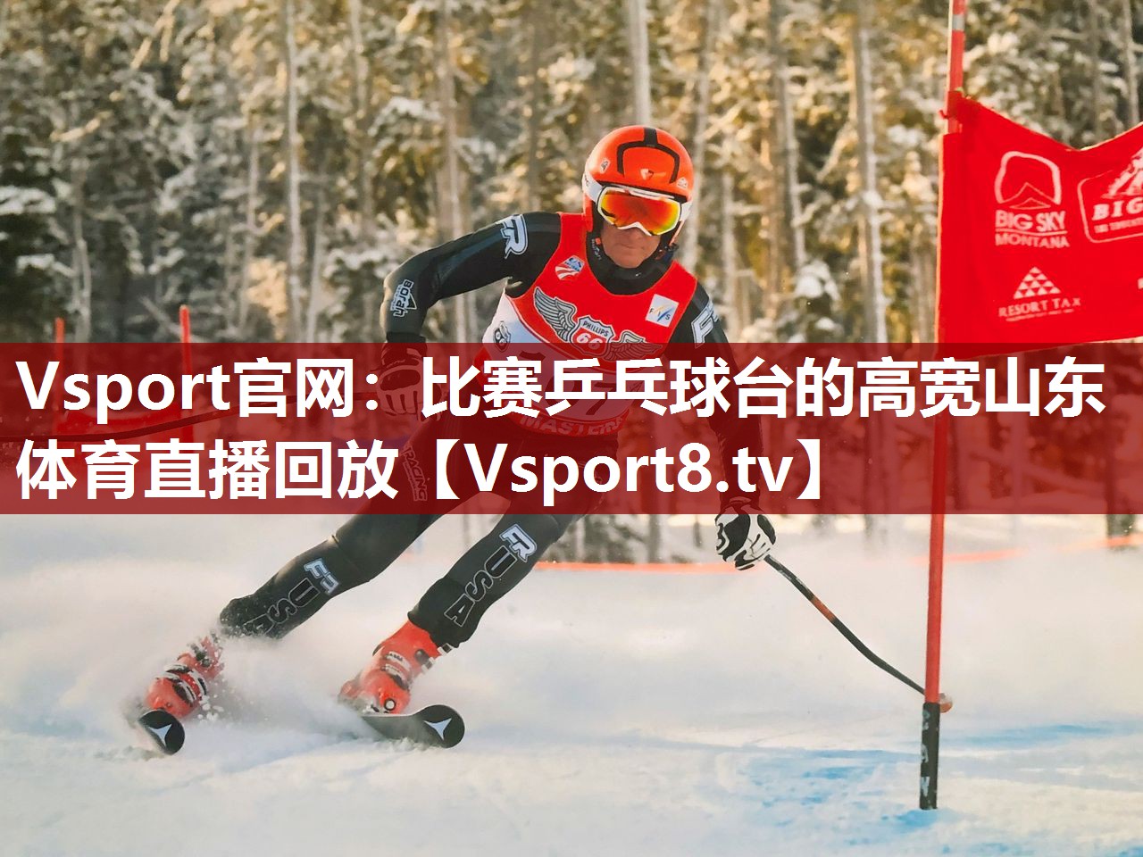 Vsport官网：比赛乒乓球台的高宽山东体育直播回放