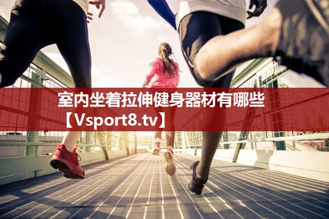 室内坐着拉伸健身器材有哪些
