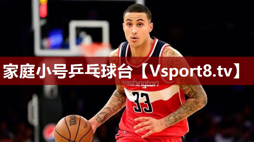 家庭小号乒乓球台