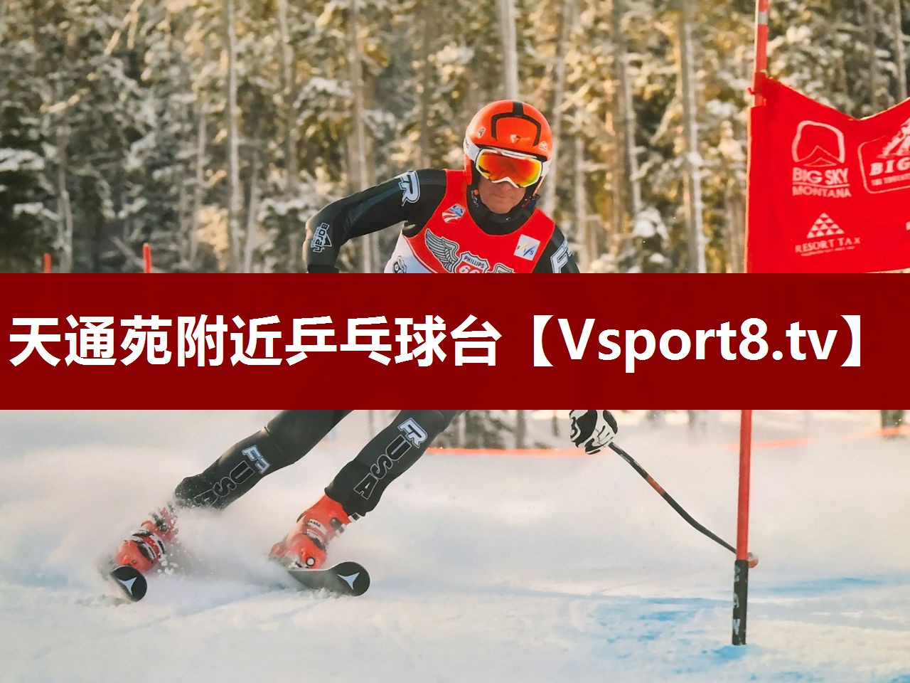 天通苑附近乒乓球台